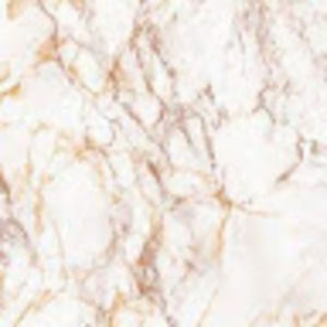 Meet your Posher, Eliana